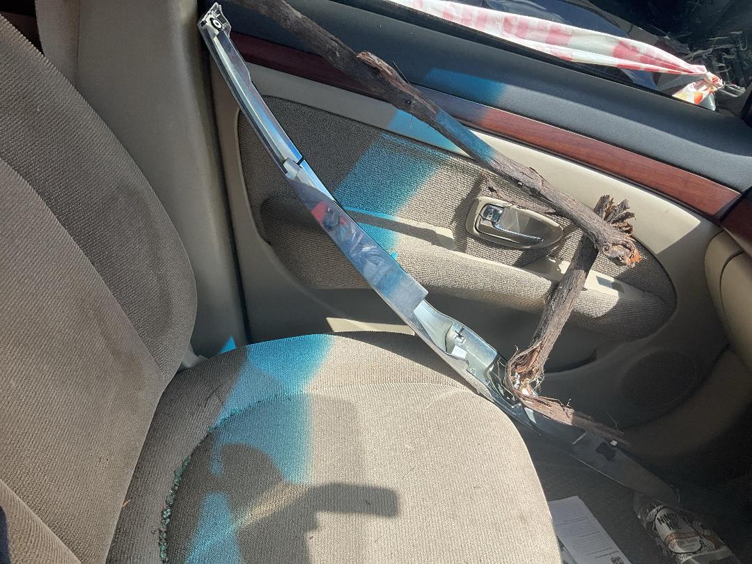 Photo '13' of Nissan Bluebird Sylphy