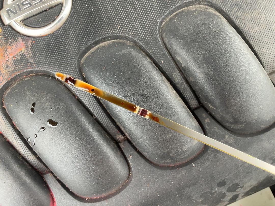 Photo '9' of Nissan Bluebird Sylphy Photo '9' of Nissan Bluebird Sylphy