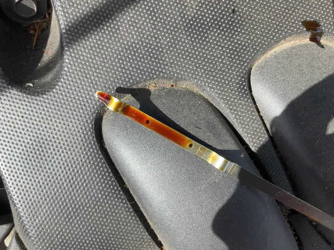 Photo '9' of Nissan Bluebird Sylphy