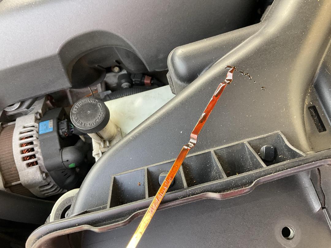 Photo '14' of Nissan Bluebird Sylphy