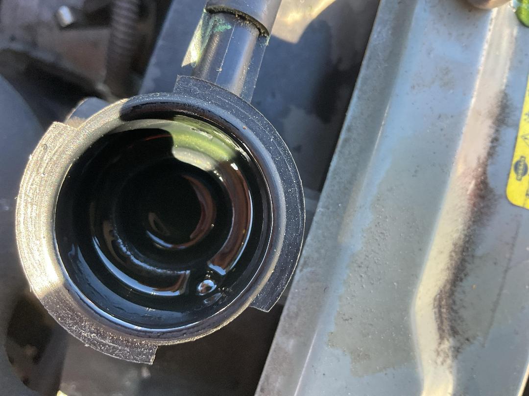 Photo '9' of Nissan March