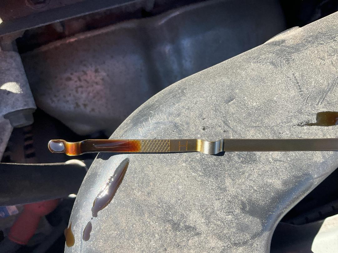 Photo '11' of Nissan March