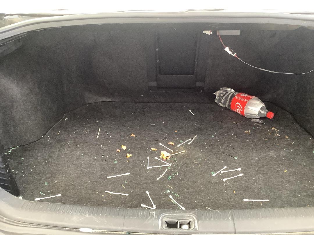 Photo '8' of Nissan Maxima ST