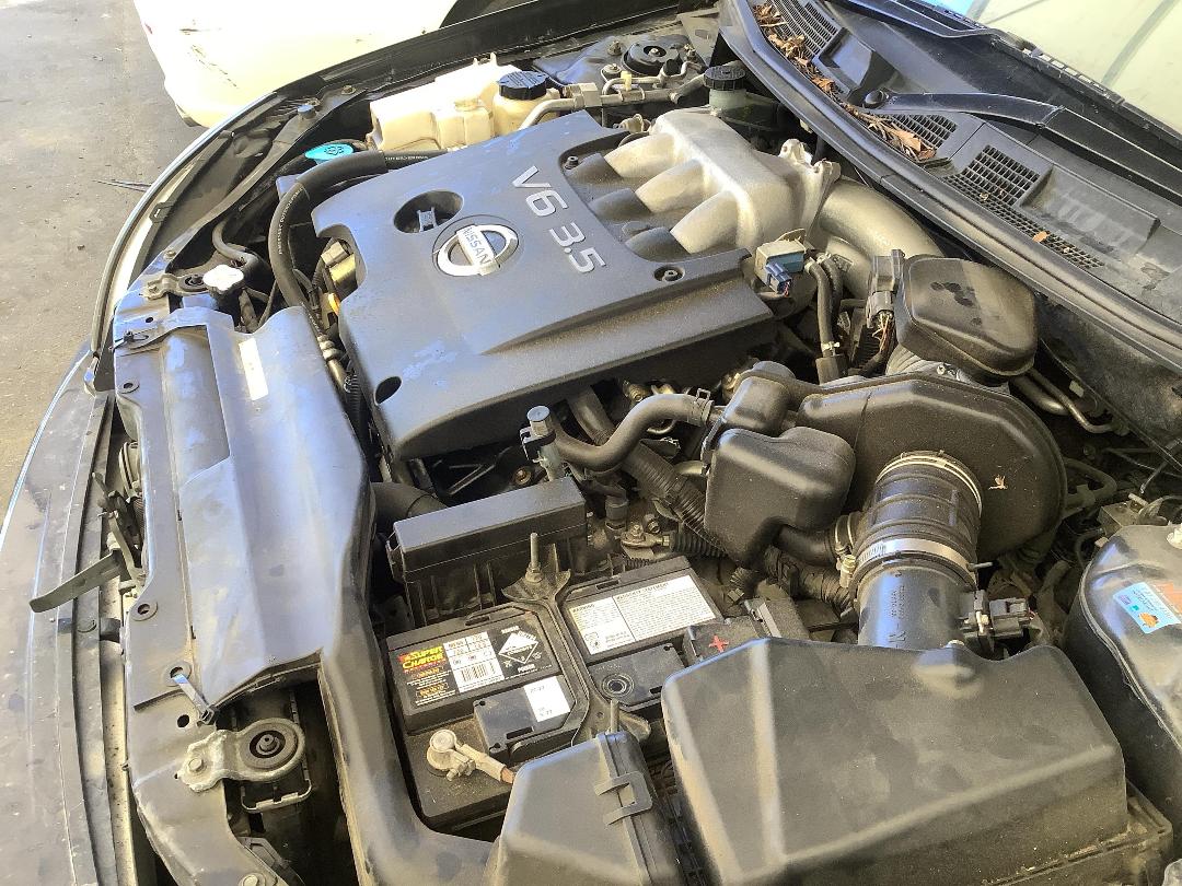 Photo '12' of Nissan Maxima ST