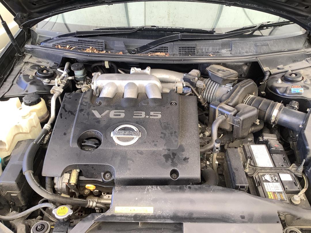 Photo '11' of Nissan Maxima ST