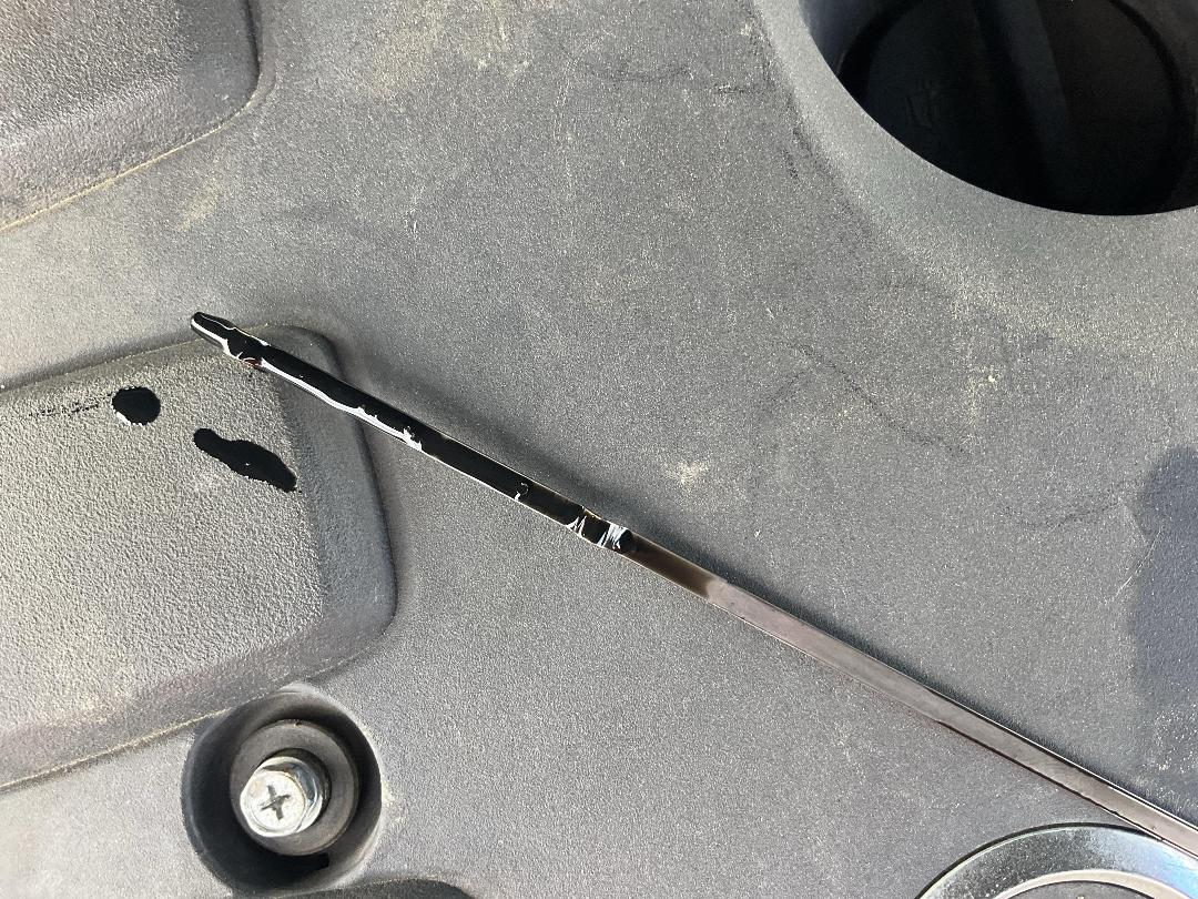 Photo '8' of Nissan Pathfinder TI