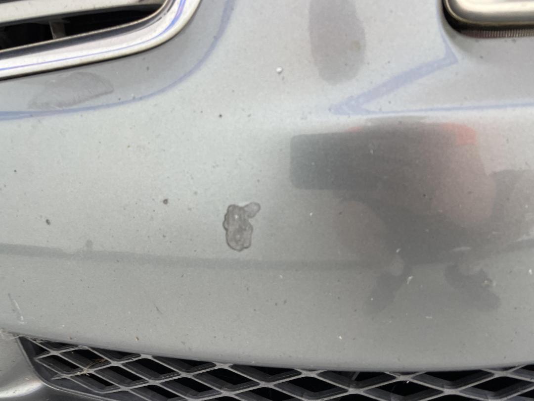 Photo '30' of Nissan Stagea Photo '30' of Nissan Stagea