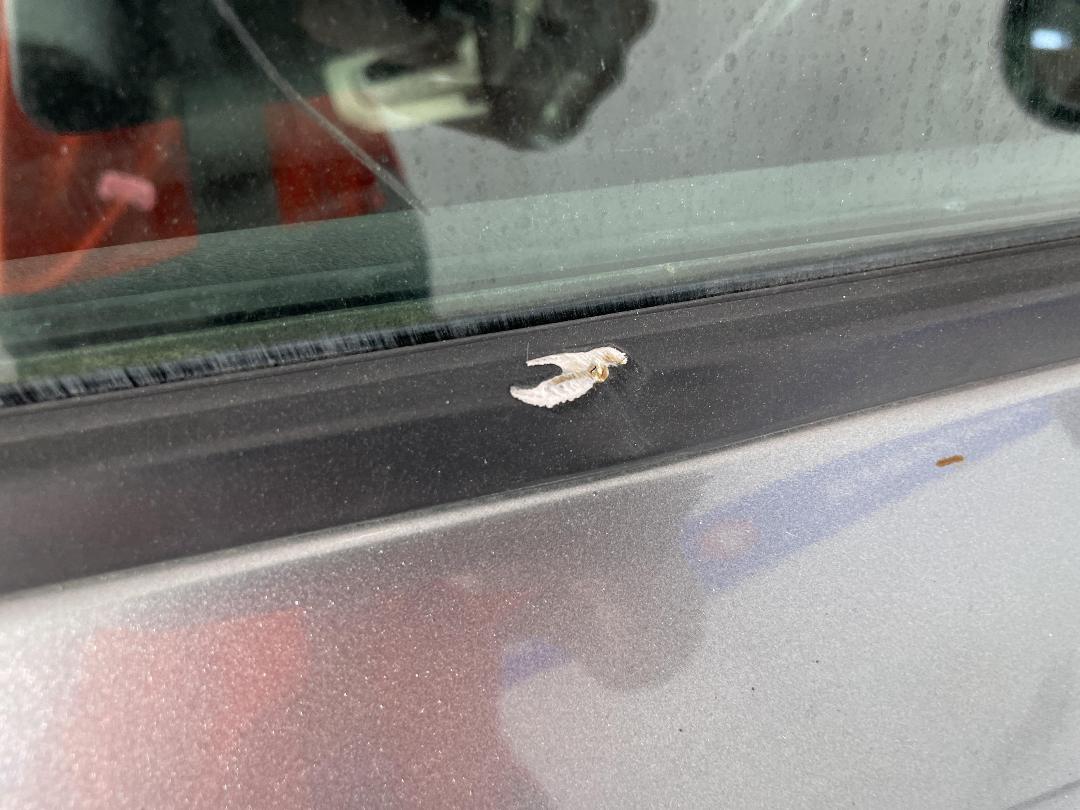 Photo '34' of Nissan Stagea Photo '34' of Nissan Stagea