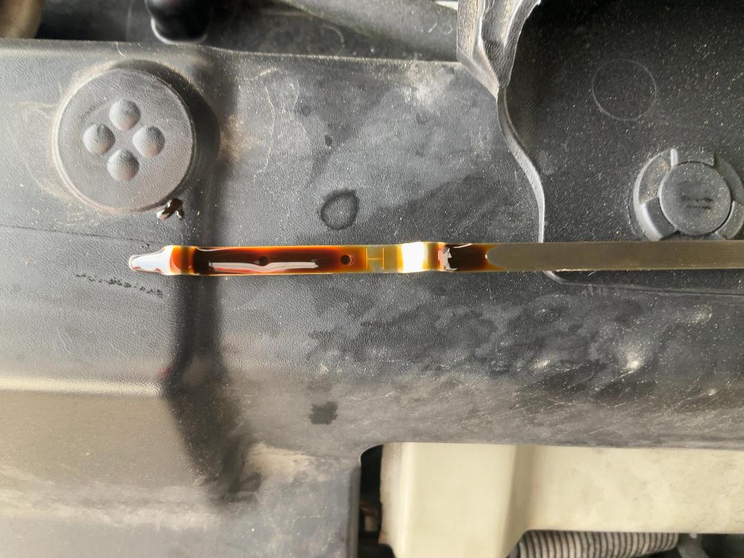 Photo '14' of Nissan Wingroad