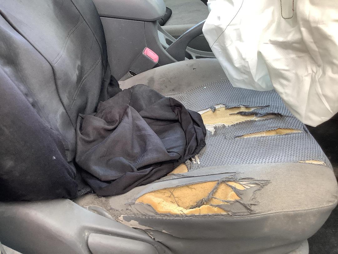 Photo '11' of Toyota Hilux TD D/C Photo '11' of Toyota Hilux TD D/C