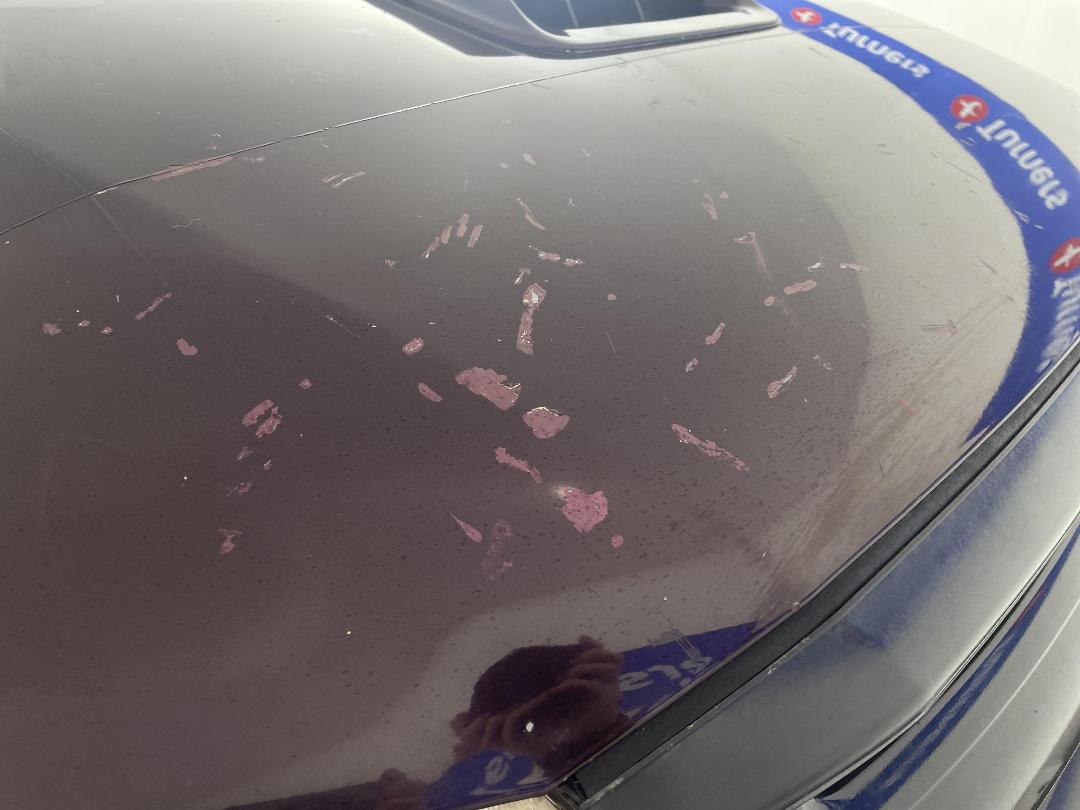 Photo '26' of Toyota Hilux