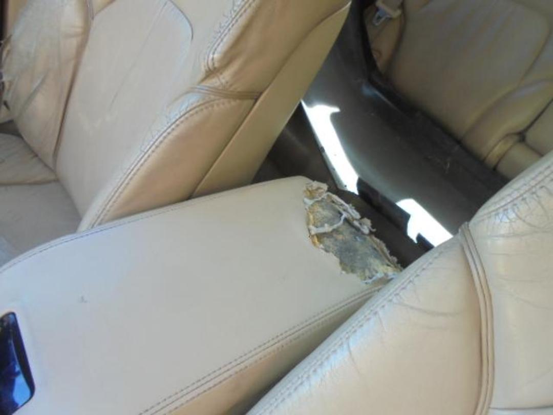 Photo '12' of Toyota Markx