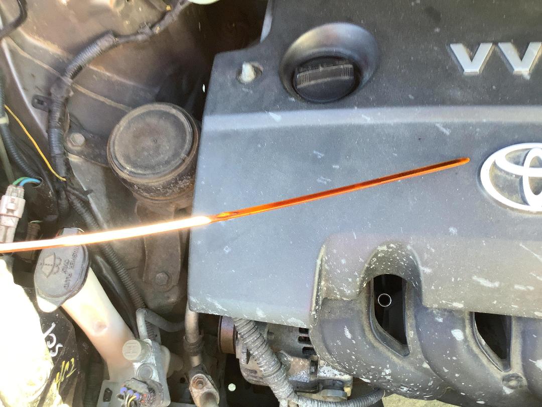 Photo '12' of Toyota Ractis