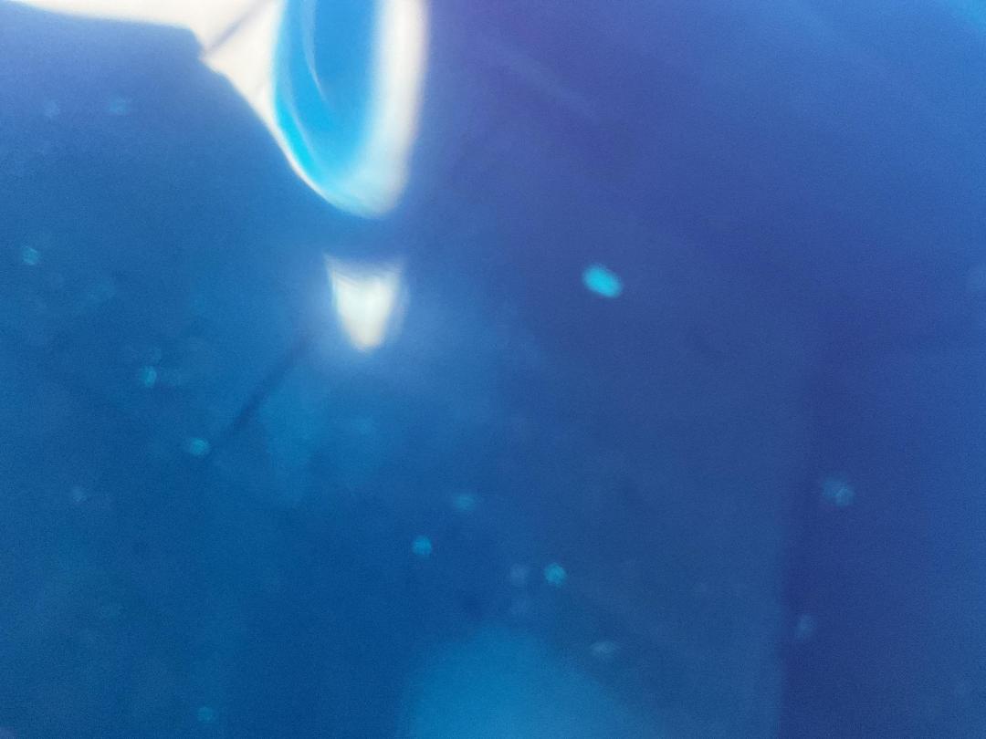 Photo '22' of Toyota Wish