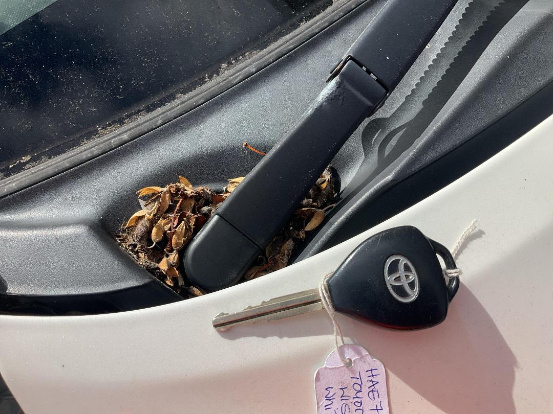 Photo '7' of Toyota Wish