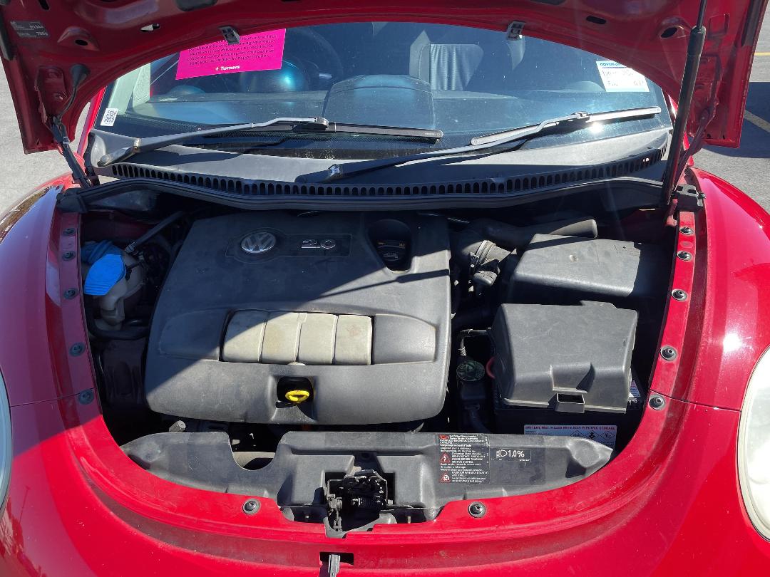 Photo '6' of Volkswagen Beetle