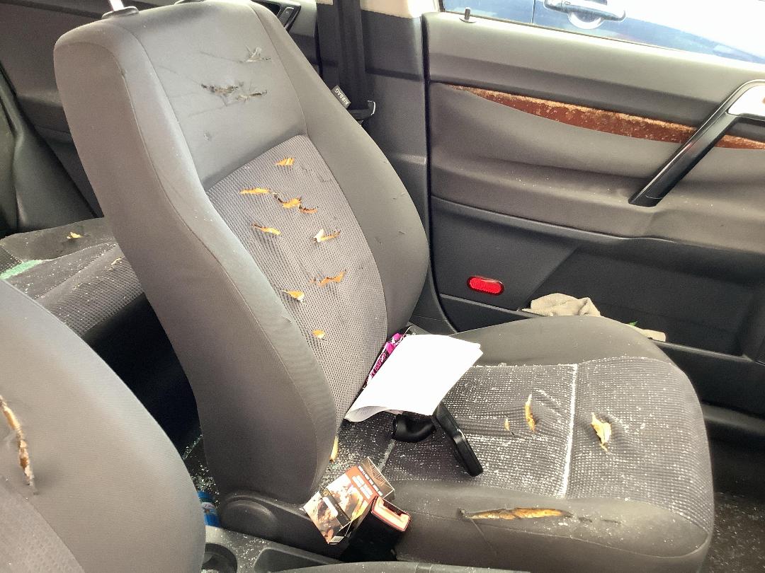 Photo '15' of Volkswagen Polo Photo '15' of Volkswagen Polo