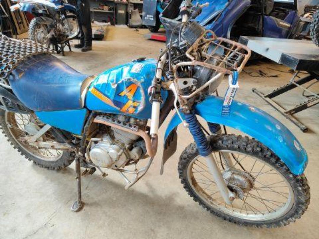 Photo '3' of Yamaha AG200