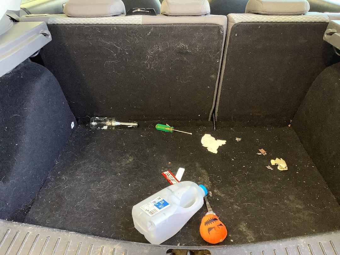 Photo '7' of Ford Focus