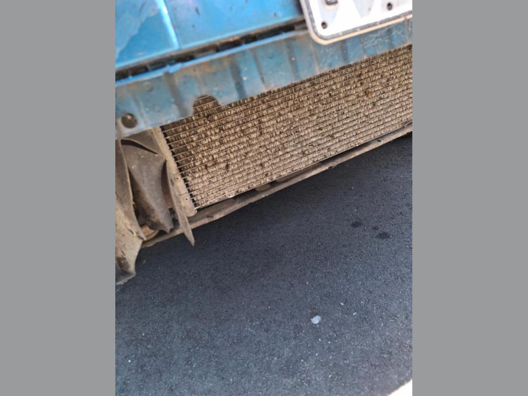 Photo '4' of Ford Focus