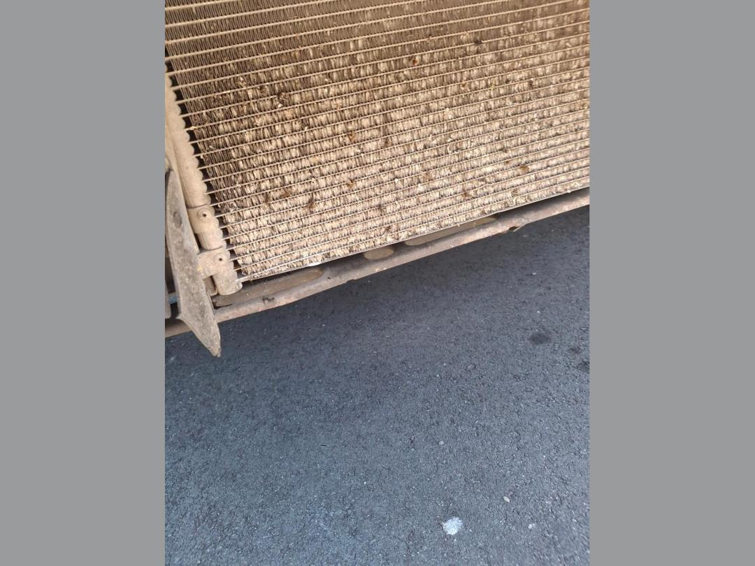 Photo '8' of Ford Focus