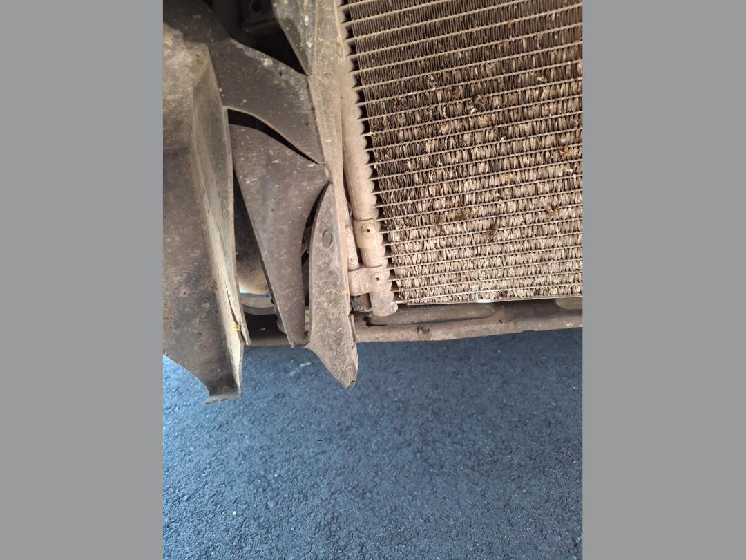 Photo '13' of Ford Focus