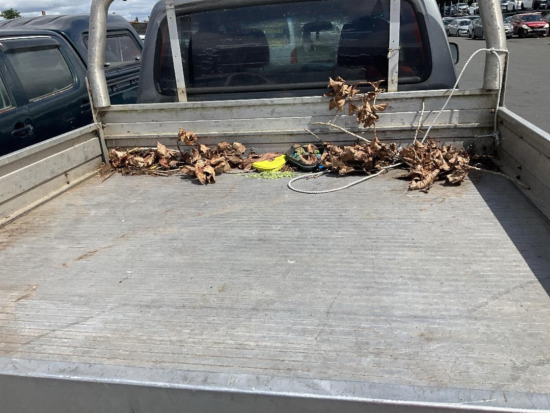 Photo '6' of Ford Ranger