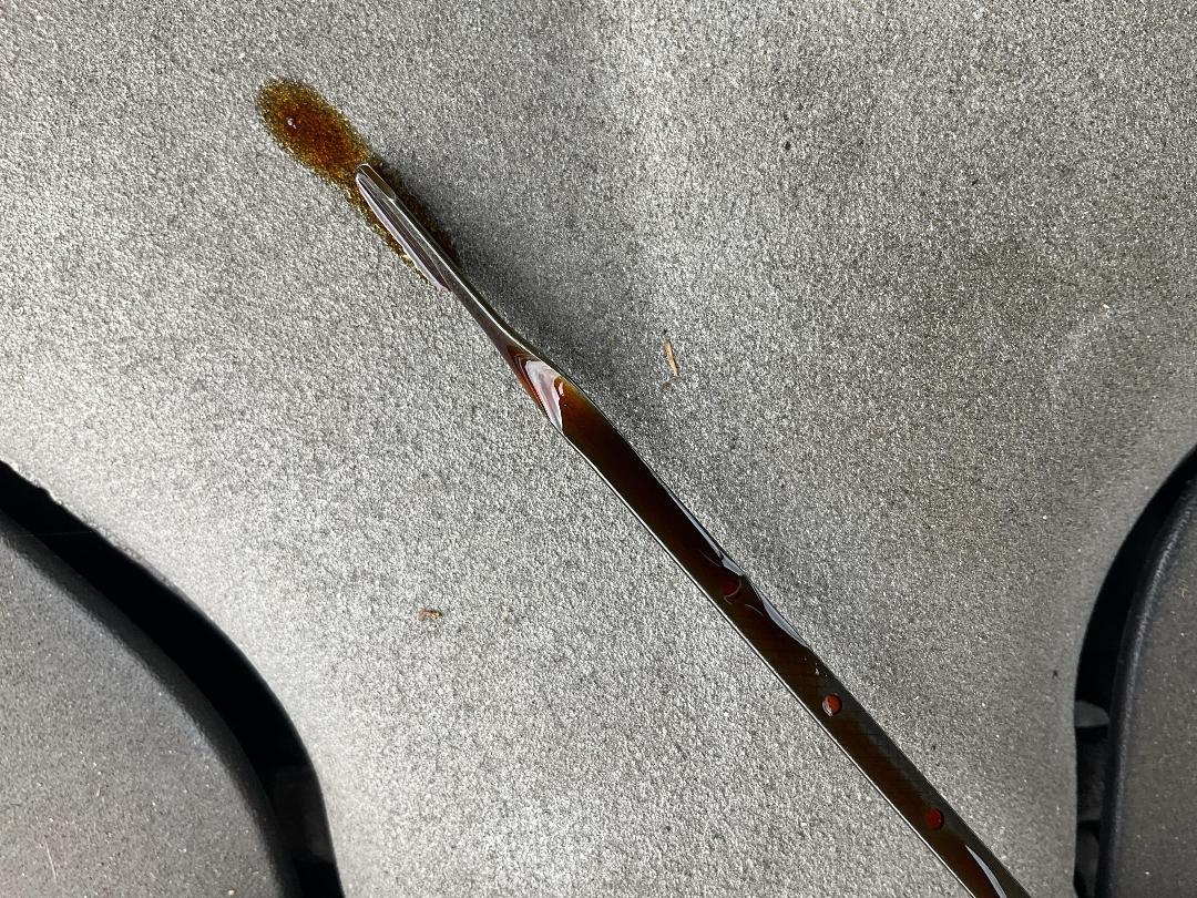 Photo '9' of Holden Commodore Calais V6