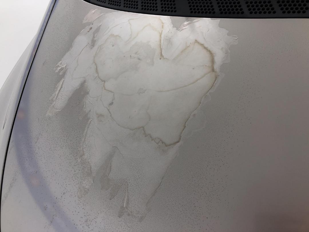 Photo '26' of Honda Civic Photo '26' of Honda Civic