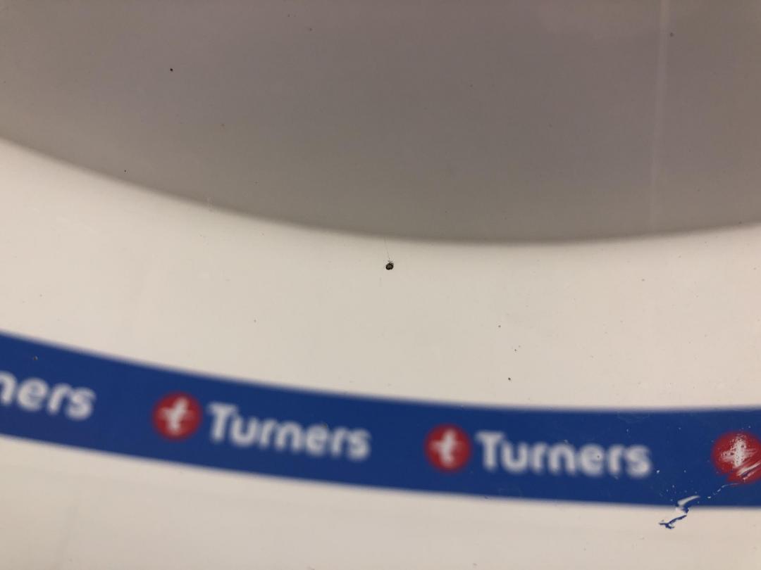 Photo '33' of Honda Civic Photo '33' of Honda Civic