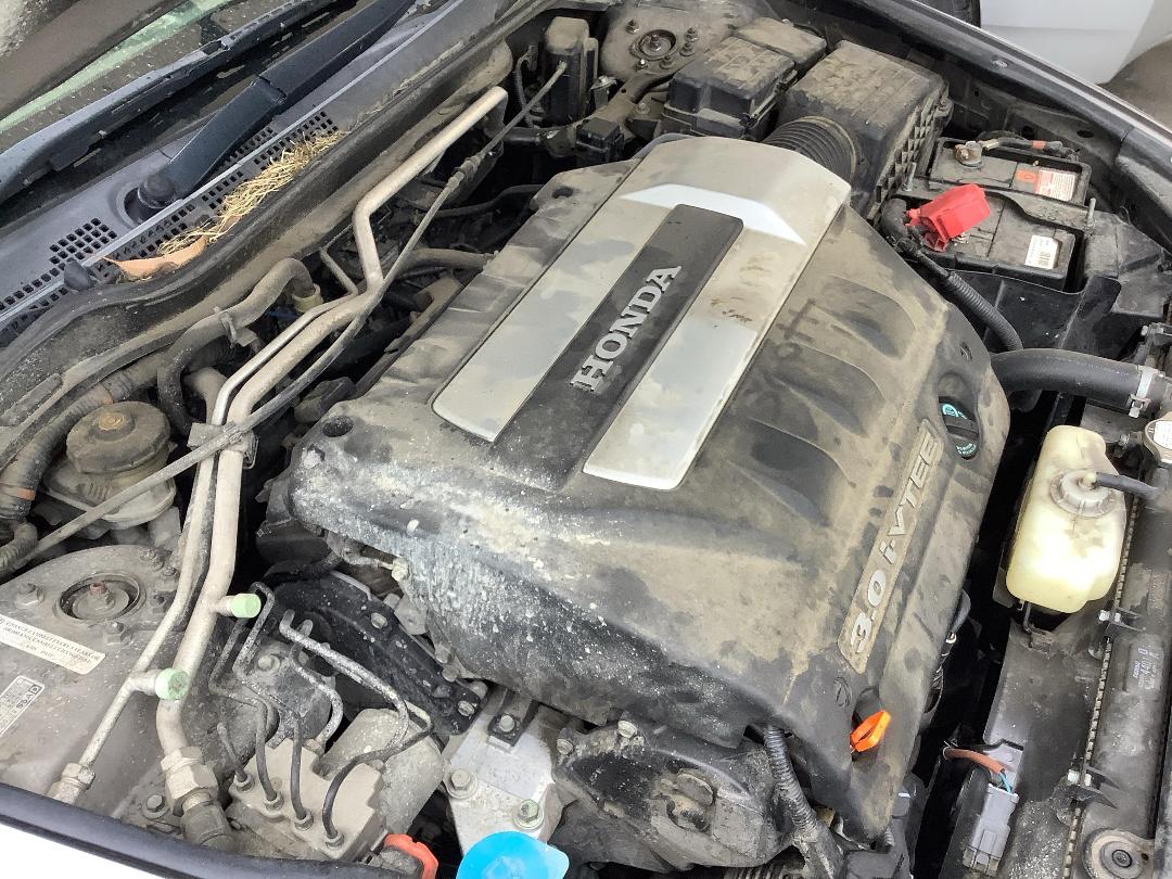 Photo '11' of Honda Inspire