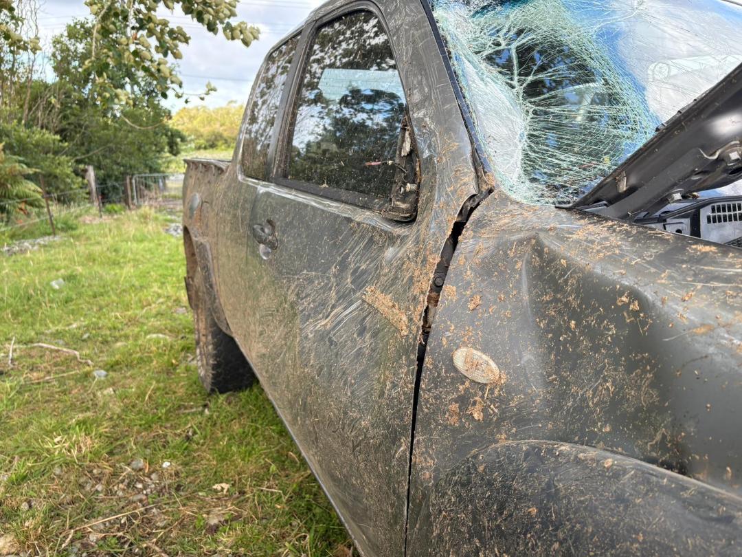 Photo '10' of Mazda Bt-50