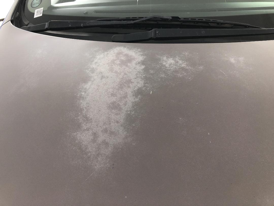 Photo '26' of Mazda MPV