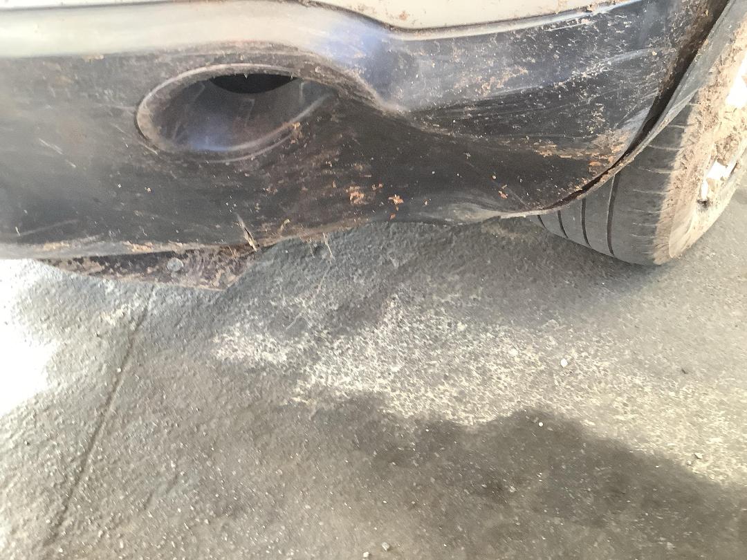 Photo '4' of Nissan Dualis