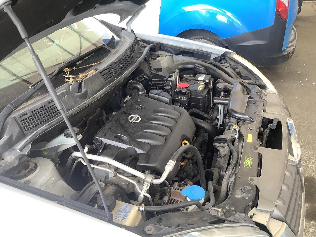 Photo '21' of Nissan Dualis