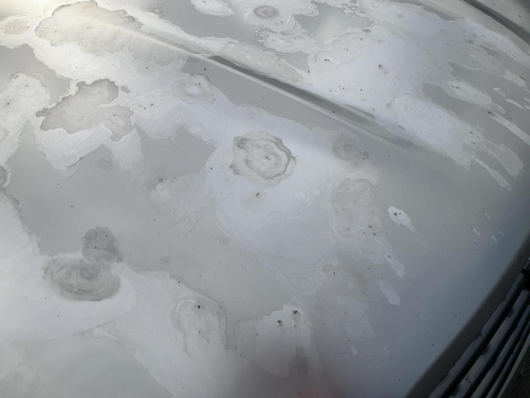 Photo '9' of Nissan Dualis