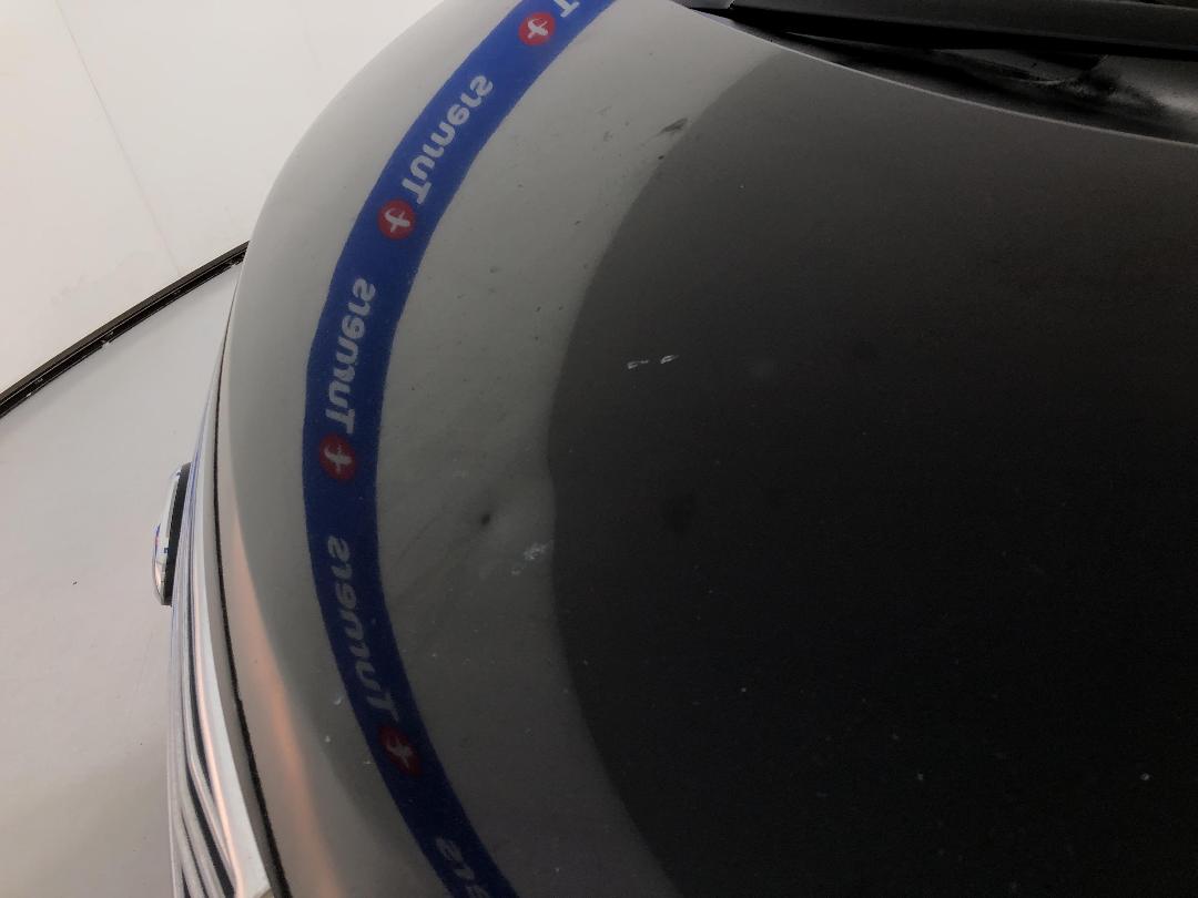 Photo '26' of Nissan Elgrand