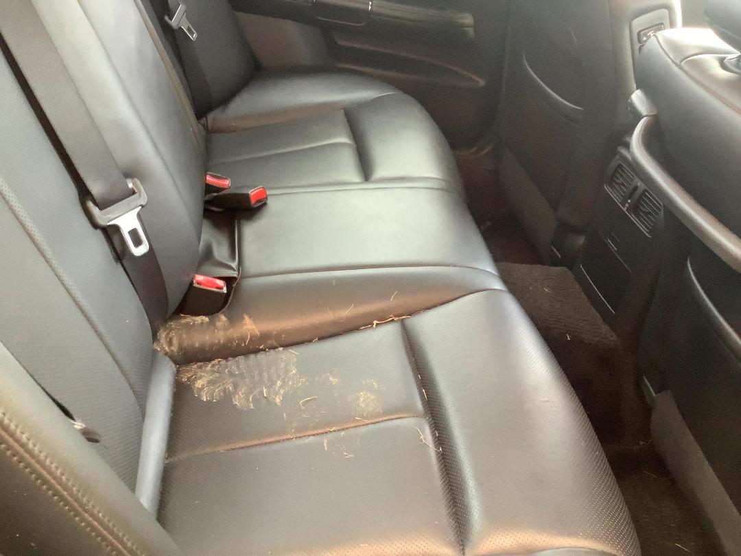 Photo '10' of Nissan Fuga