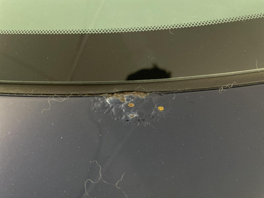 Photo '37' of Nissan Primera