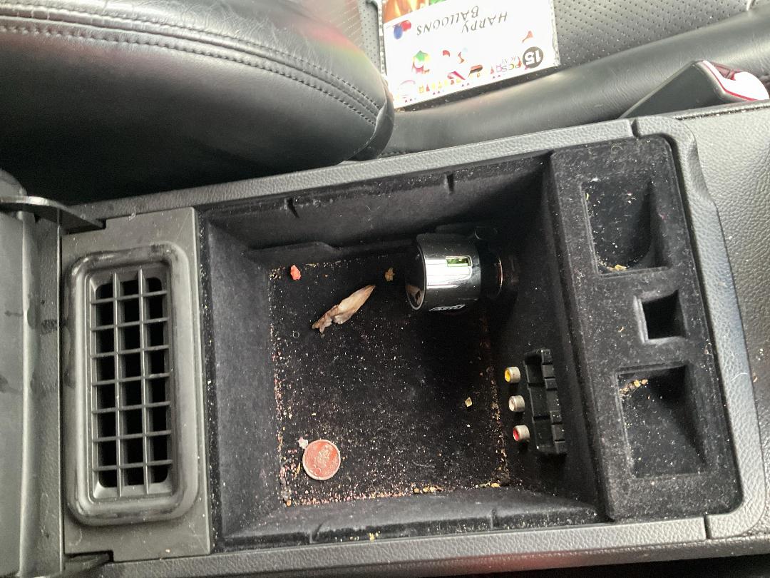 Photo '20' of Nissan Skyline Photo '20' of Nissan Skyline