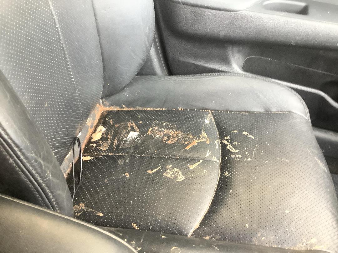 Photo '16' of Nissan Skyline