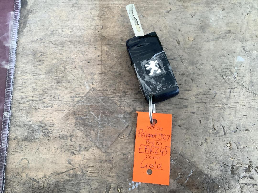 Photo '18' of Peugeot 307 HDI