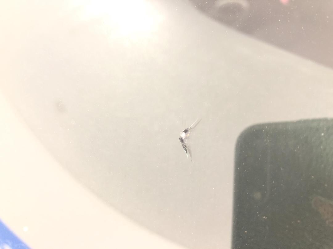 Photo '28' of Subaru Legacy