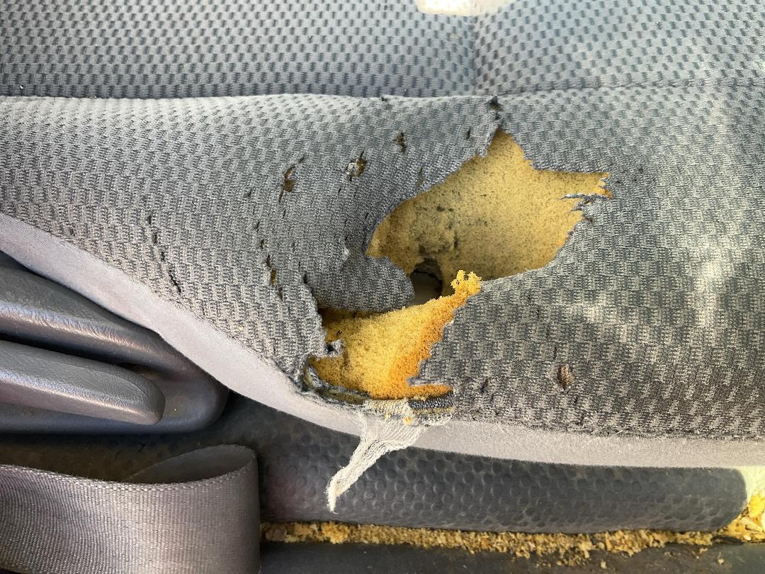 Photo '24' of Toyota Hiace Regius ACE