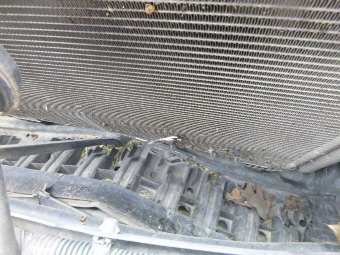 Photo '24' of Toyota IST