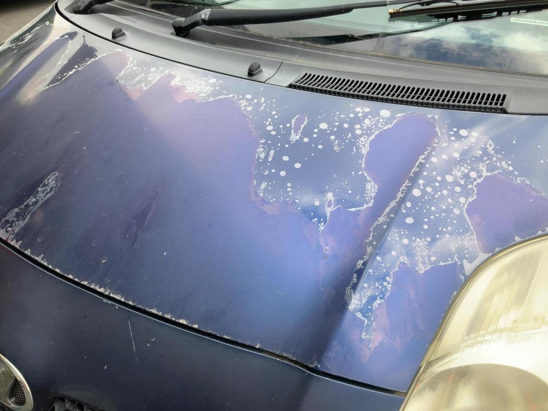 Photo '16' of Toyota Vitz