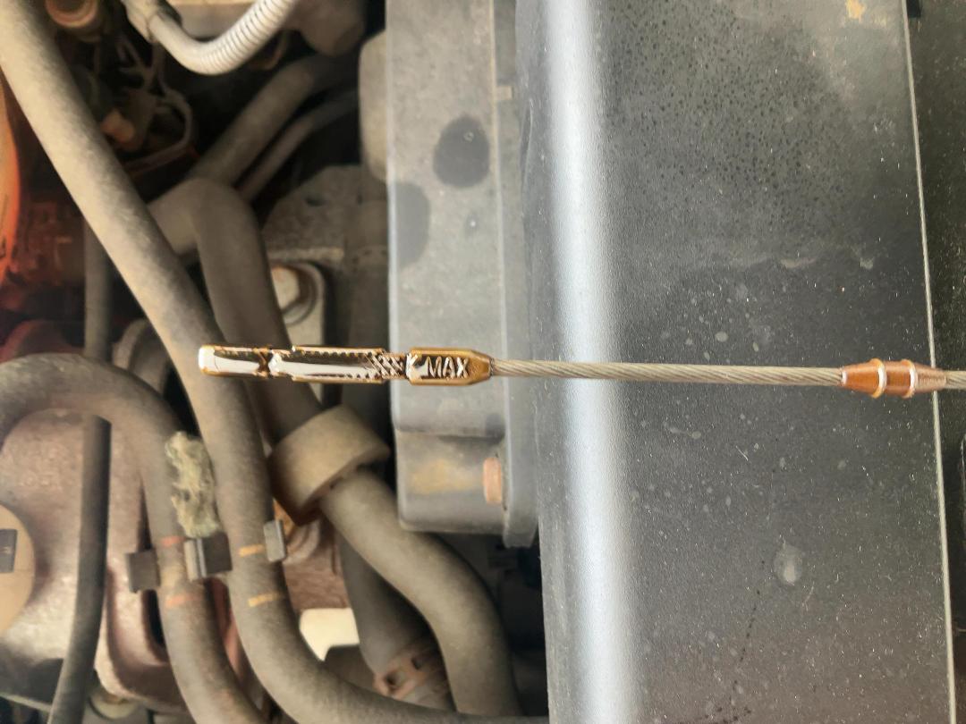 Photo '12' of Volkswagen Golf