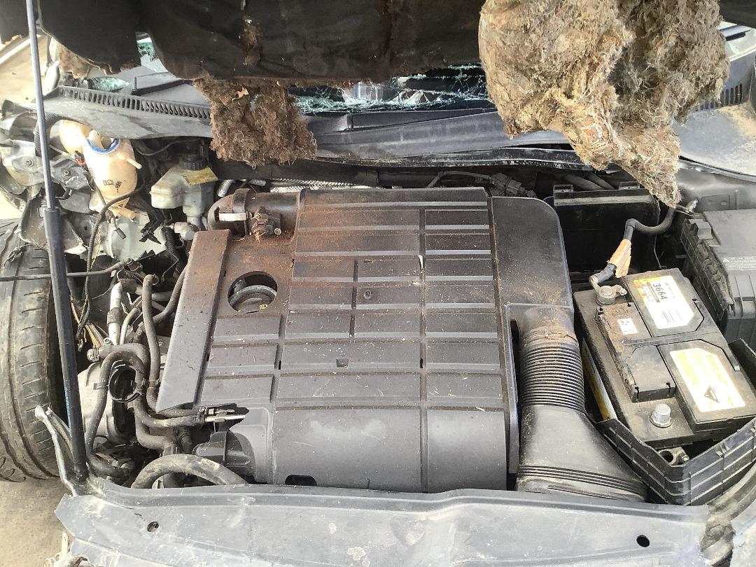 Photo '14' of Volkswagen Jetta 2.0T Photo '14' of Volkswagen Jetta 2.0T