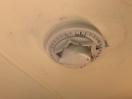Thumbnail '37' of Fiat Ducato 2.2JTD Motorhome Thumbnail '37' of Fiat Ducato 2.2JTD Motorhome
