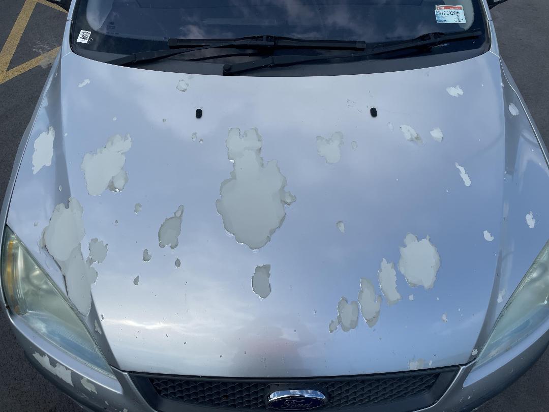 Photo '20' of Ford Focus Photo '20' of Ford Focus